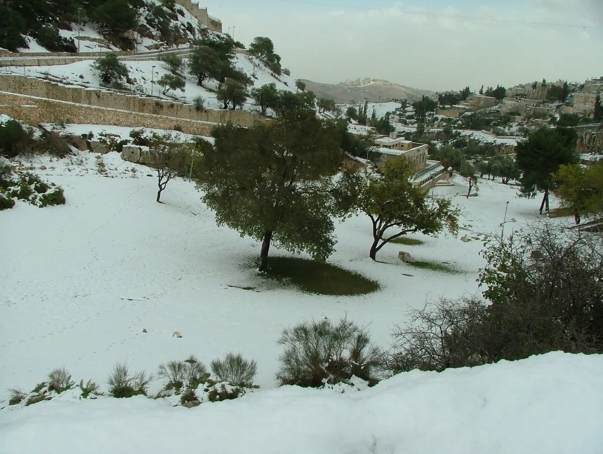 10. The Jerusalem Music Centre