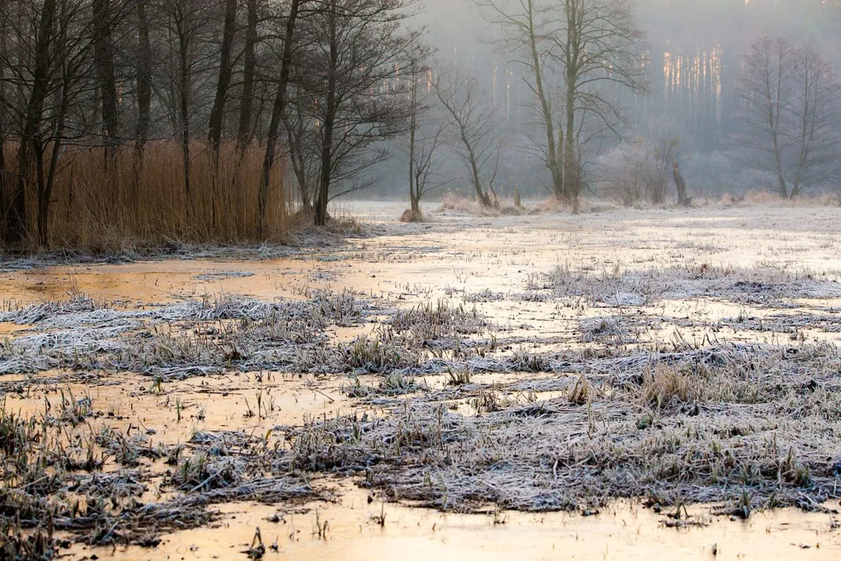 5. The Kampinos National Park
