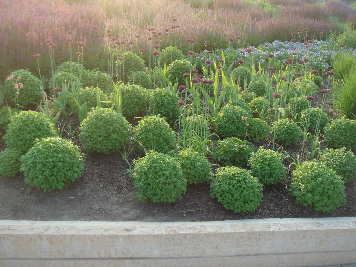 10. The Lurie Garden