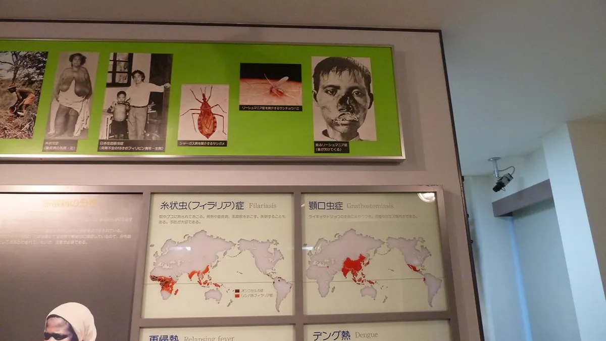 16. The Meguro Parasitological Museum