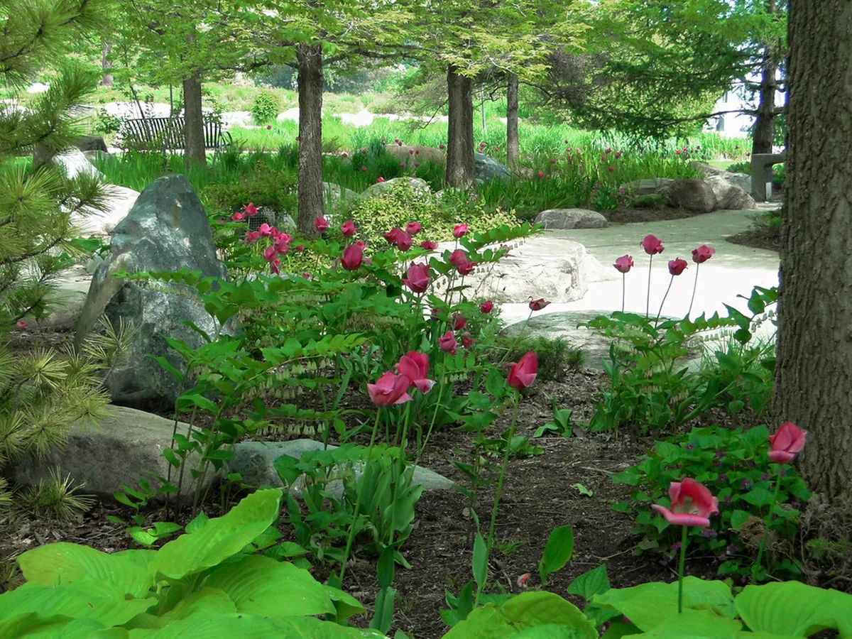 13. The Music Garden