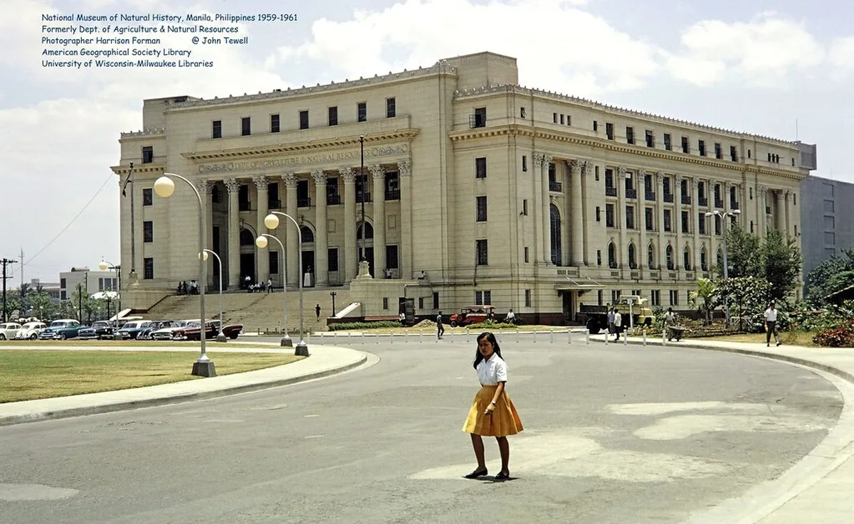 6. The National Museum of natural History