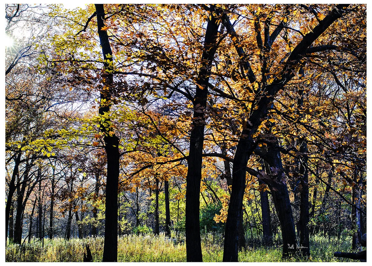 6. The North Park Village Nature Center