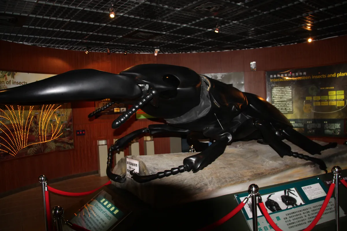 3. The Philadelphia Insectarium and Butterfly Pavilion