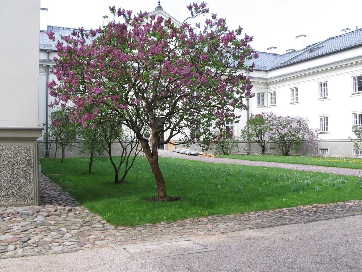 15. The Royal Baths Park (Łazienki Park)