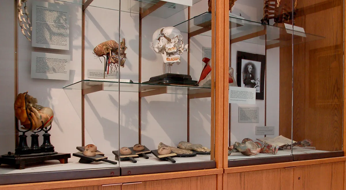 7. The Warren Anatomical Museum