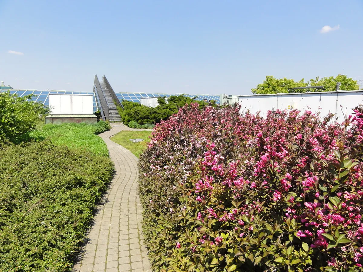 6. The Warsaw University Library Rooftop Garden