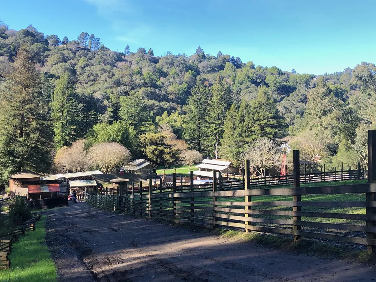 2. Tilden Park Little Farm