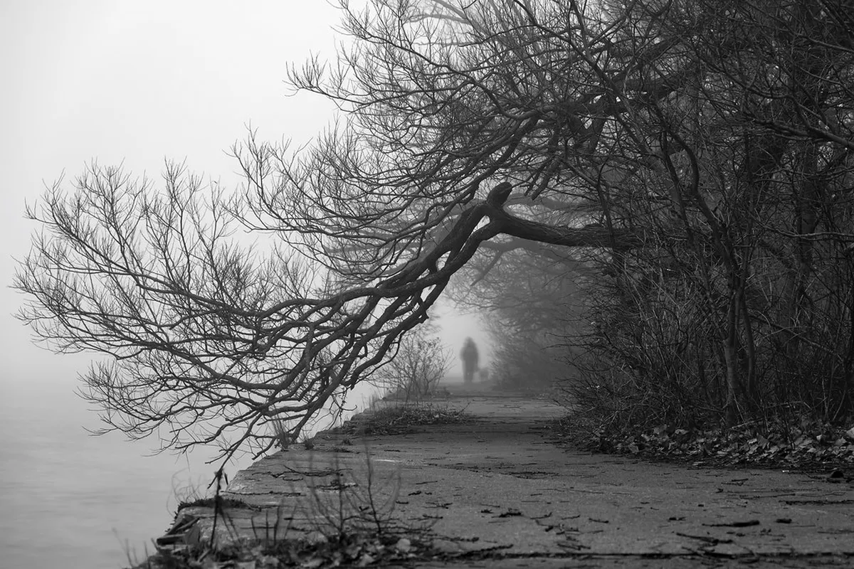 3. Toronto Islands’ Ward’s Island