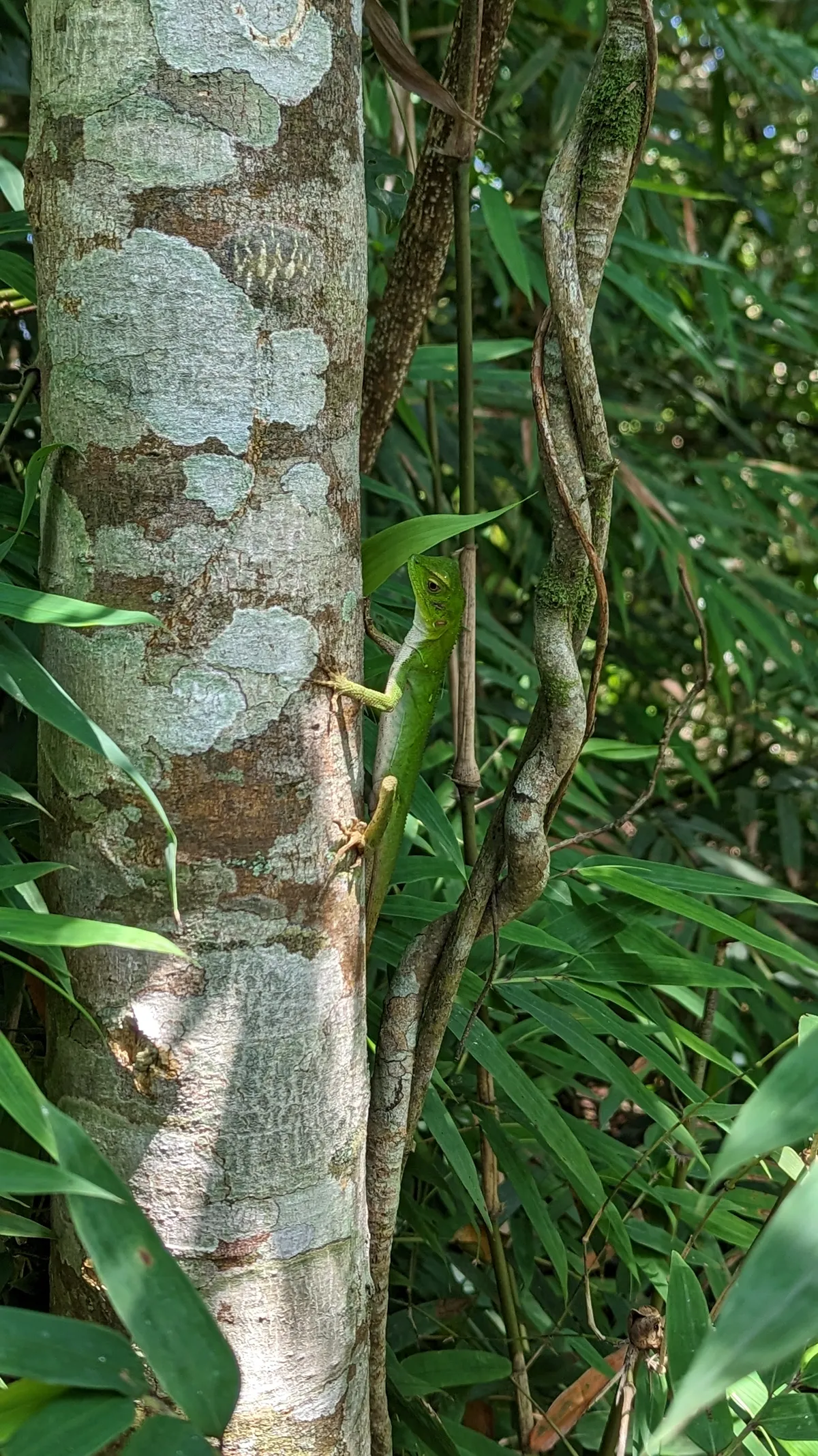3. Trilha da Pedra Bonita