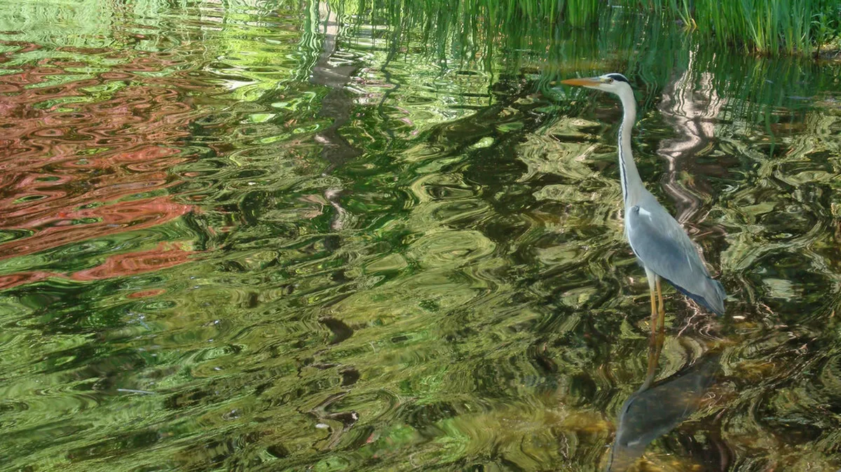 1. Türkenschanzpark