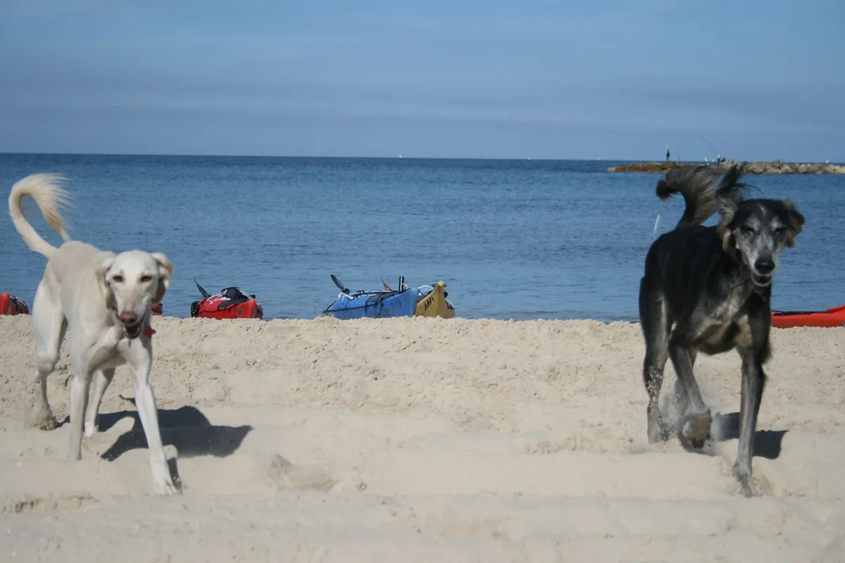 8. Tzuk Beach
