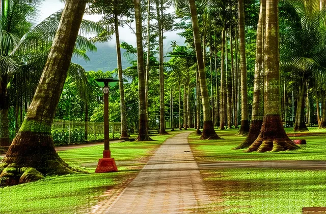 Unexplored parks of Davao