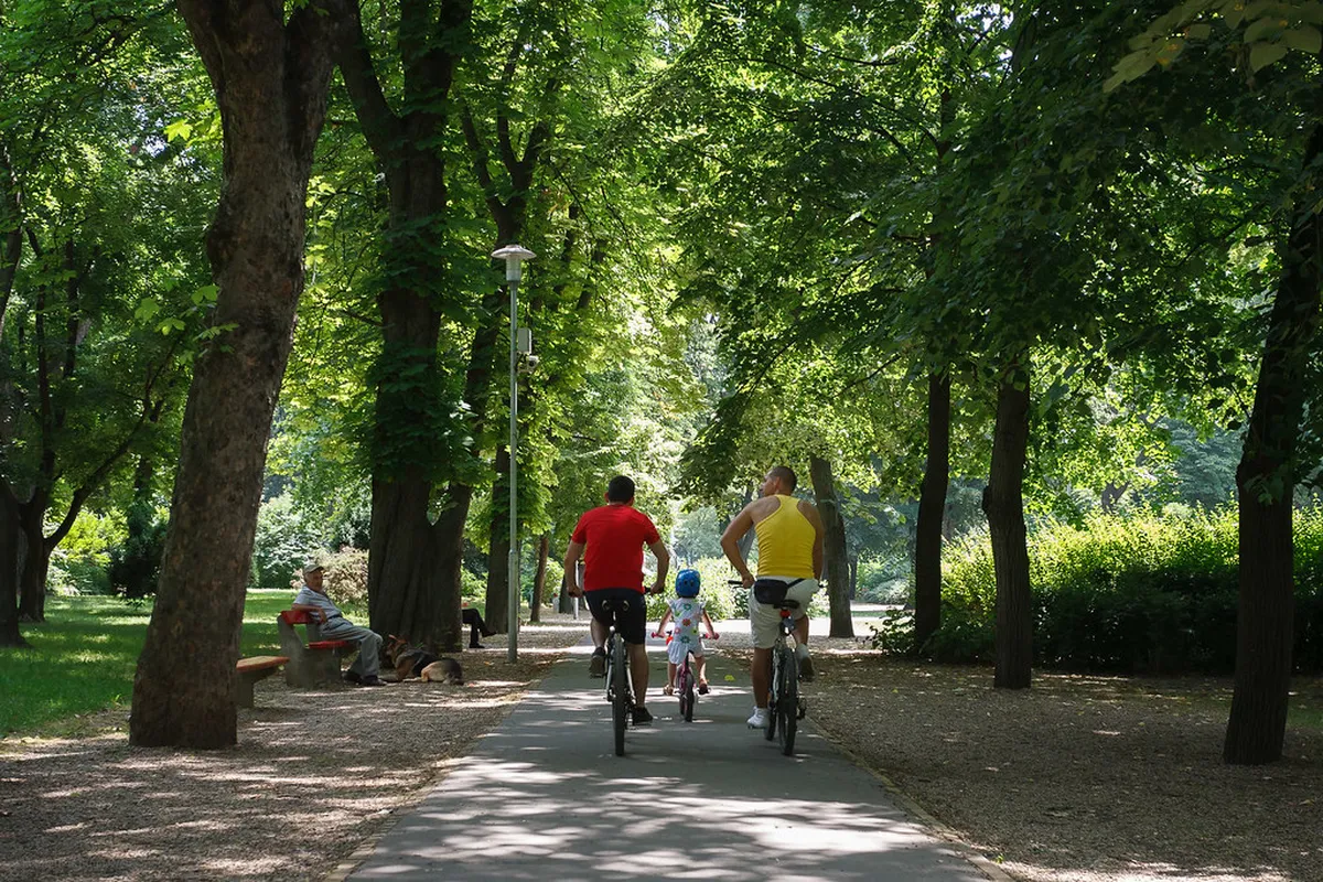 5. Városmajor Park