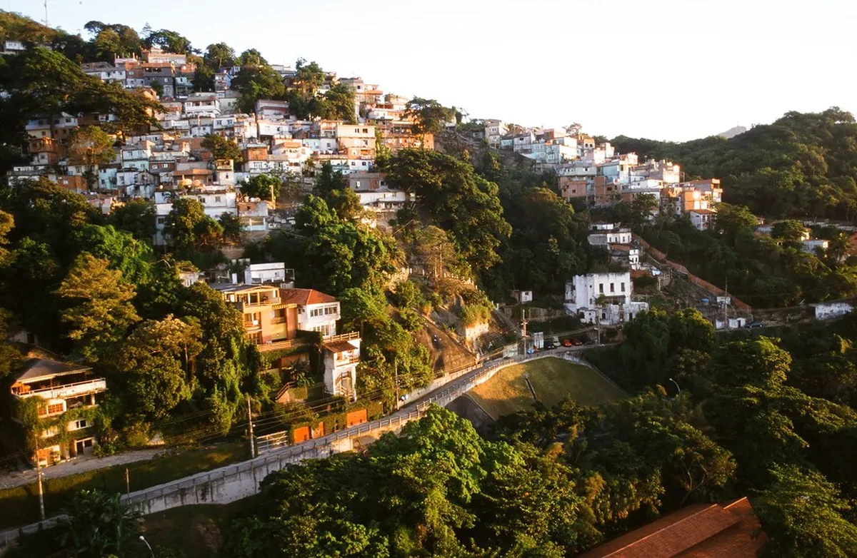 7. Vidigal