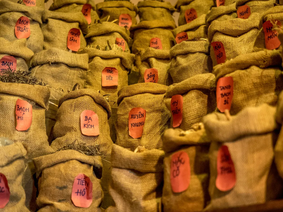 6. Vietnamese Traditional Medicine Museum