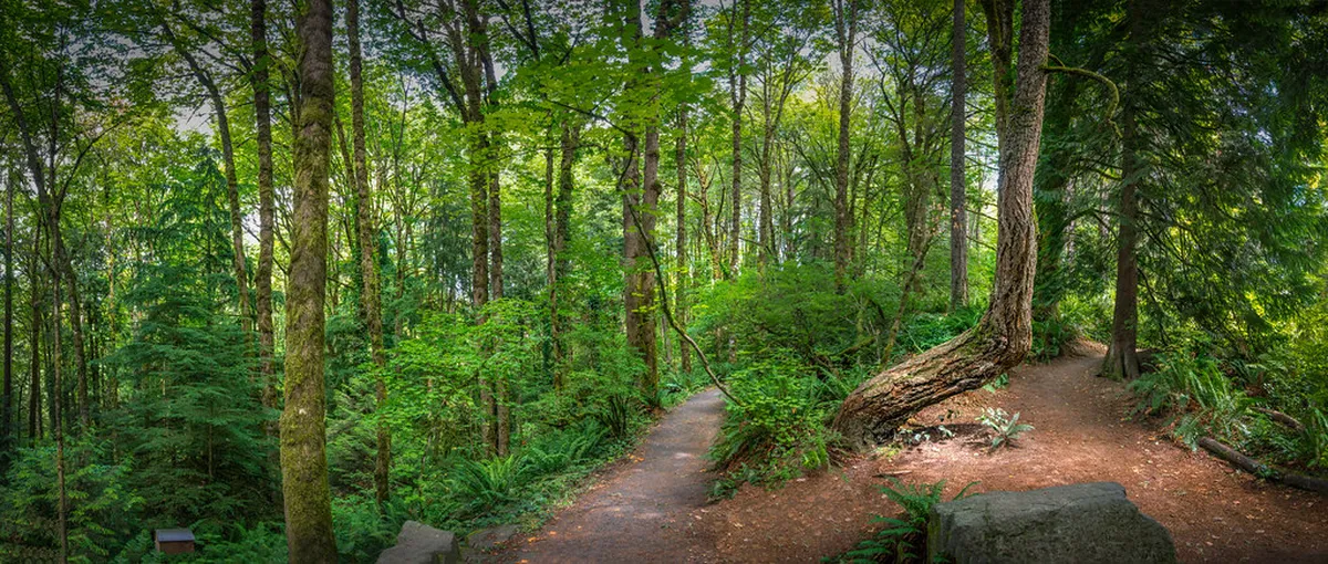 8. Washington Park Arboretum