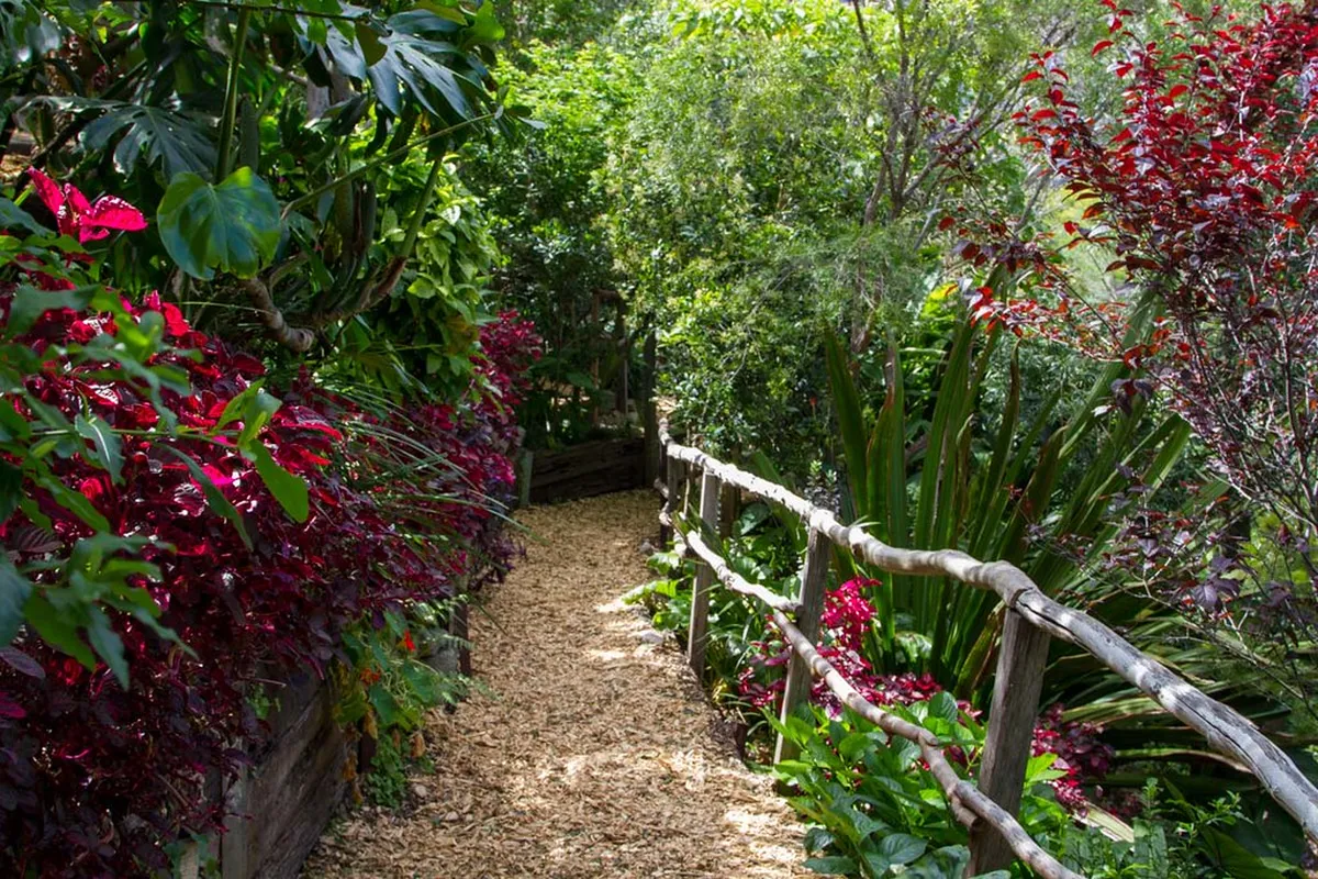 5. Wendy’s secret Garden