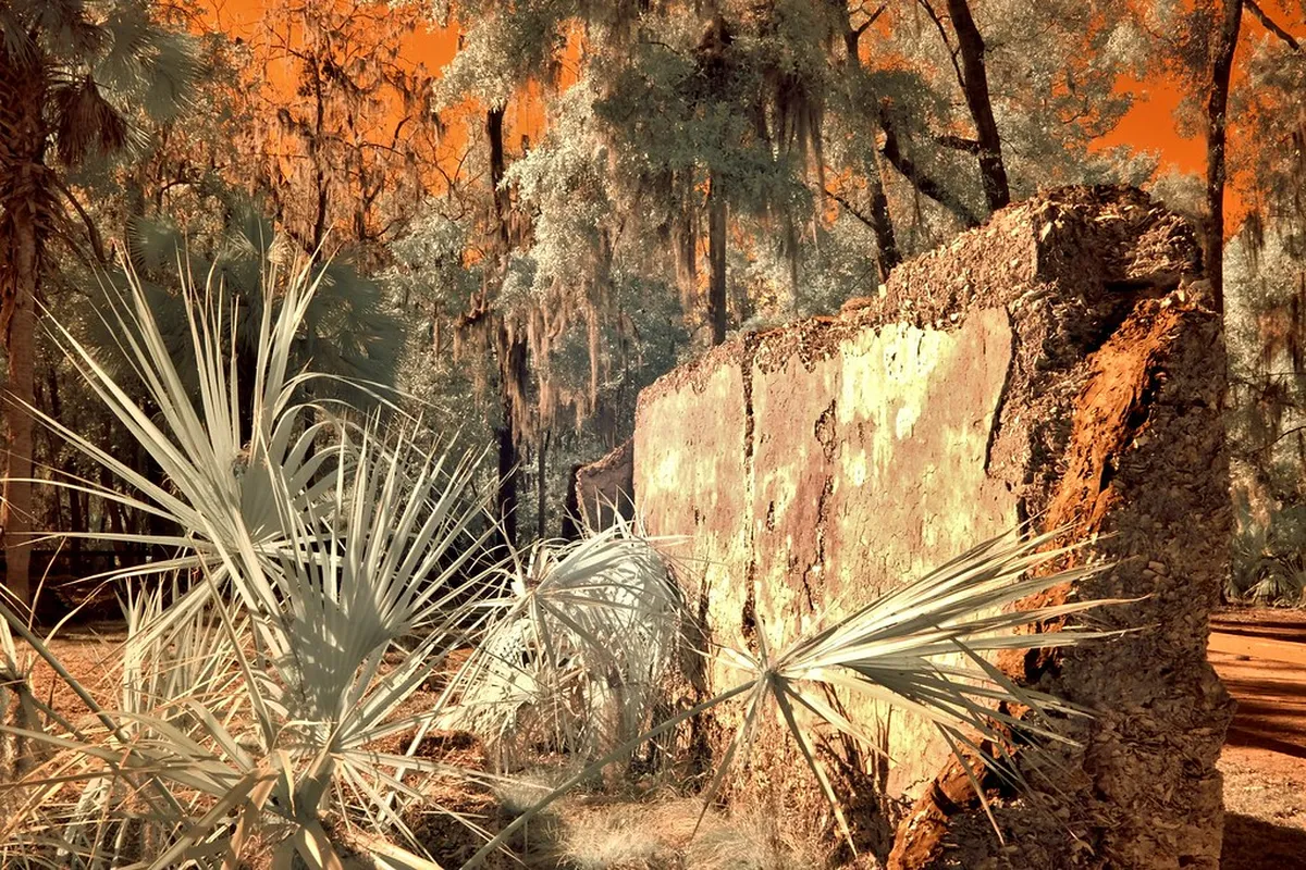 1. Wormsloe Historic Site