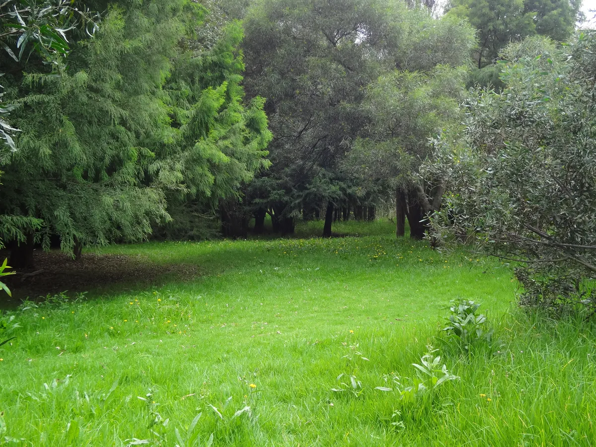 3. Xochimilco Ecological Parks and Gardens