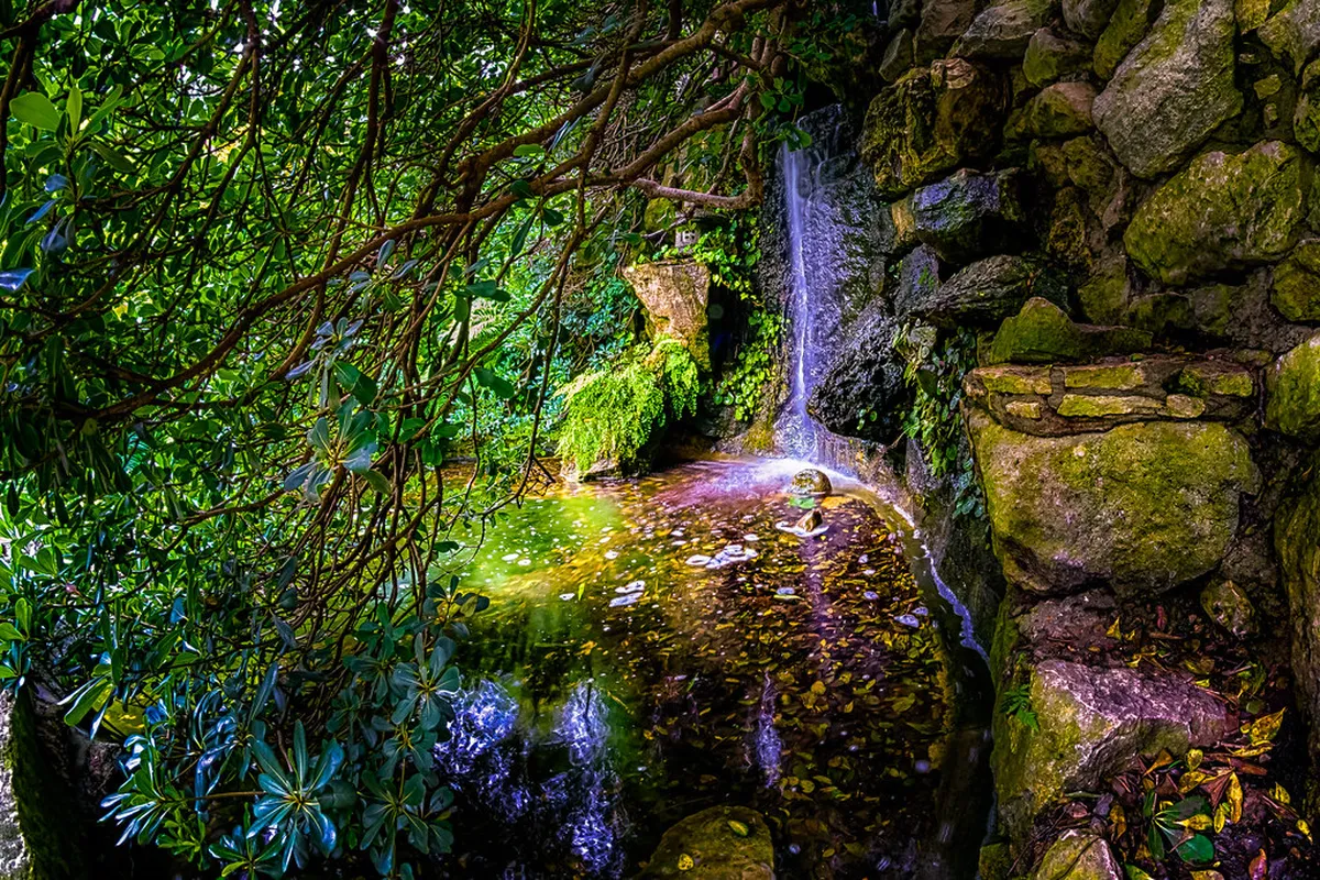 3. Zilker Botanical Garden